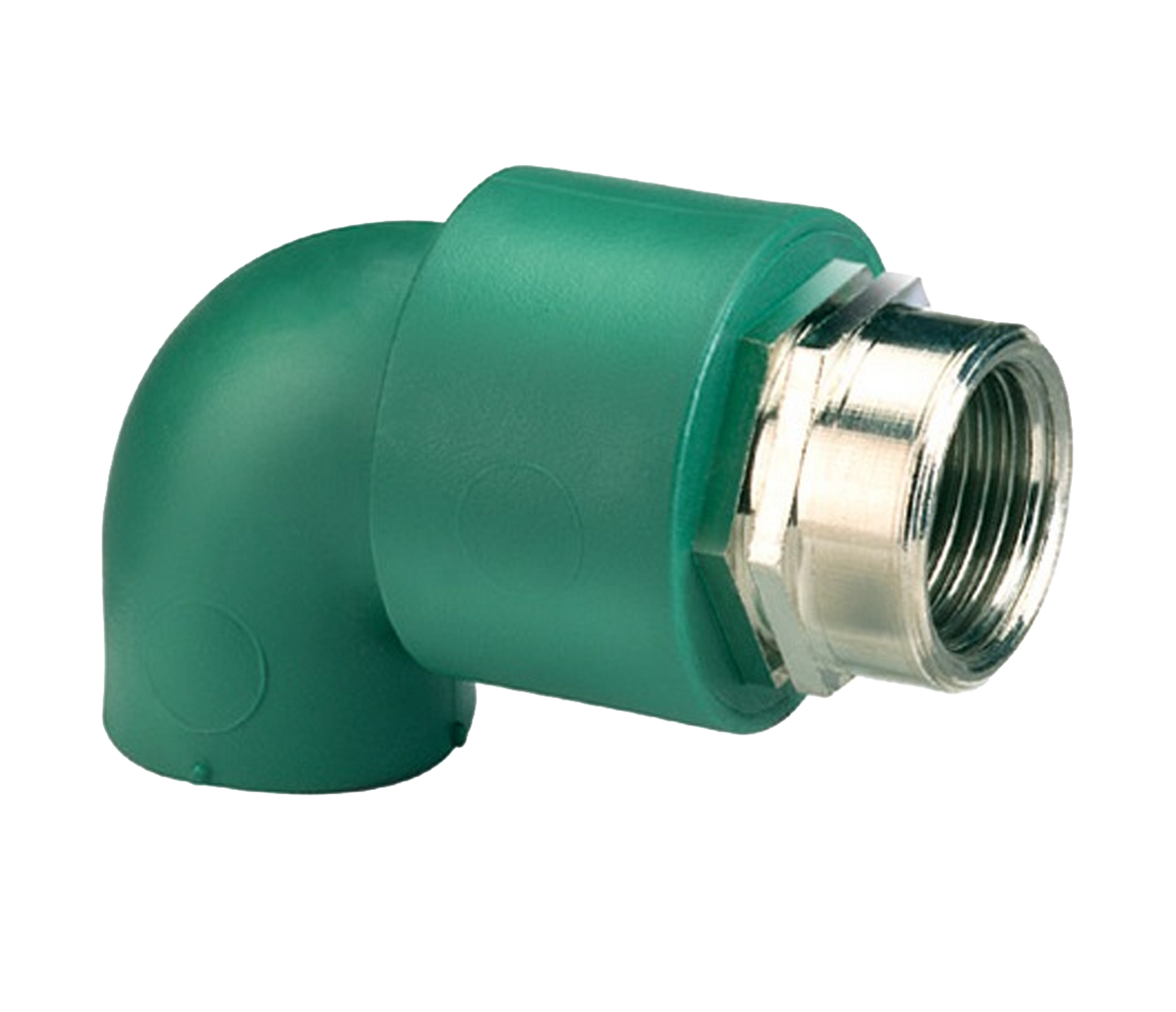 Codo Macho Termo